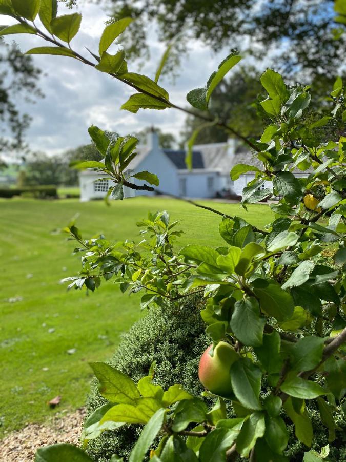 South Craighall B&B 이글스햄 외부 사진