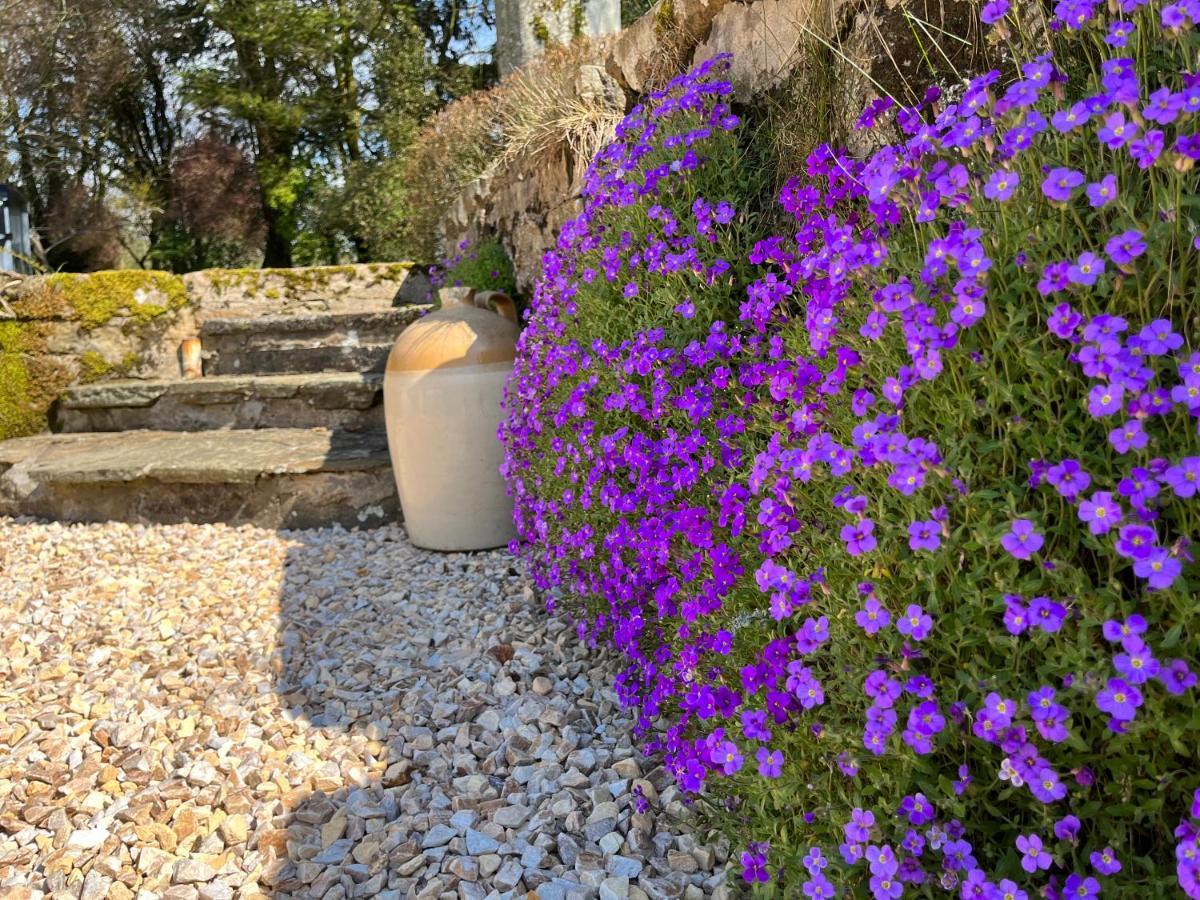 South Craighall B&B 이글스햄 외부 사진